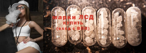 ПСИЛОЦИБИНОВЫЕ ГРИБЫ Покров