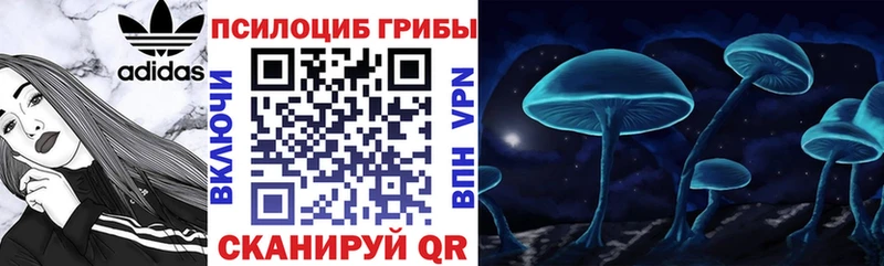 Псилоцибиновые грибы ЛСД  купить  сайты  Рославль 