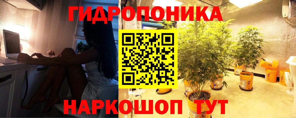Бошки Шишки гибрид  Марихуана SATIVA & INDICA  Каннабис LSD WEED  Рославль  Вход с VPN  Бошки марихуана VHQ 