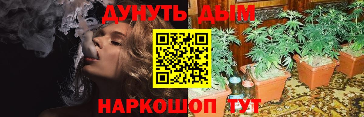 Бошки Шишки White Widow Рославль